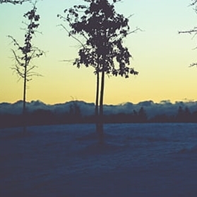 Winter Solstice - Bungendore