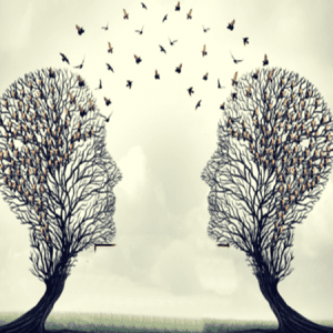 The Language of Connection - Bungendore