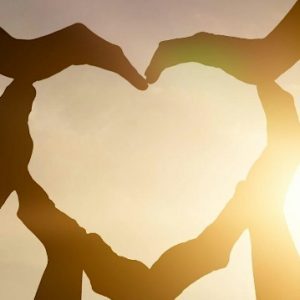 The Art of Harmonious Relationships - Braidwood